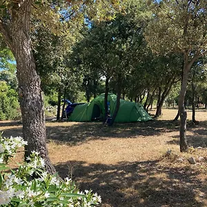  Kamp Sugar